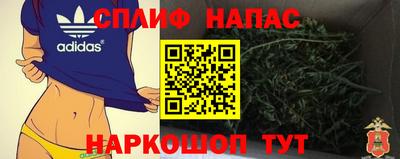 дурь Кингисепп