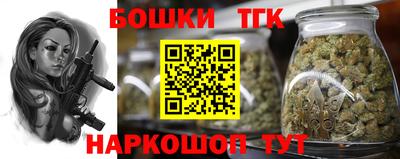 дурь Кингисепп