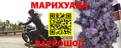 дурь Кингисепп