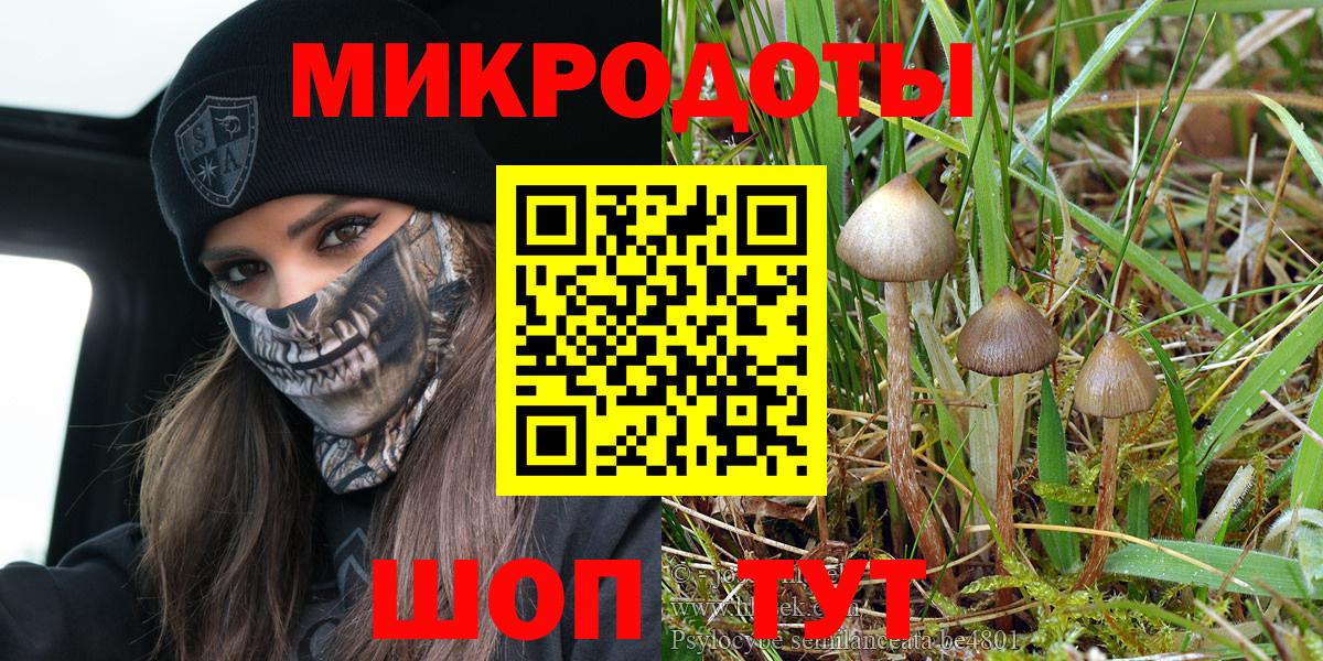 Галлюциногенные грибы Psilocybine cubensis  Вход с VPN  Котлас 